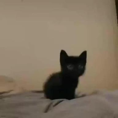 financial statement image