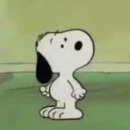 financial statement image